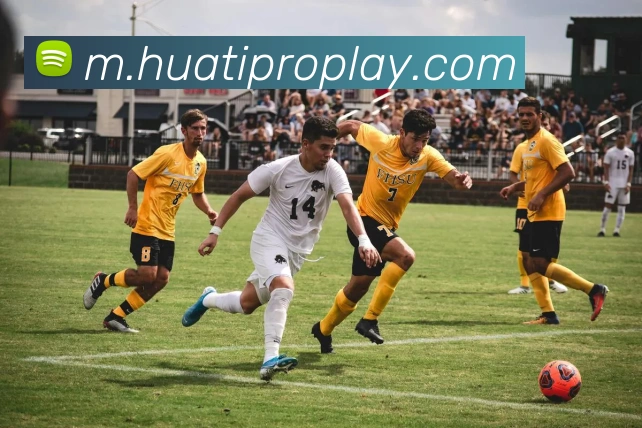 App Interface Preview