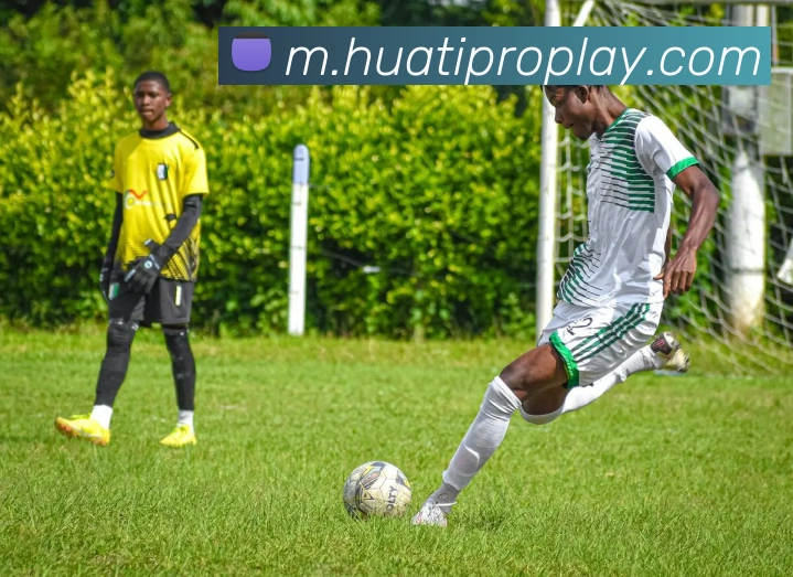 华体会体育APP 封面图